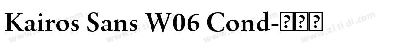 Kairos Sans W06 Cond字体转换